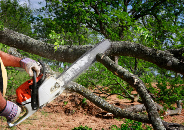 Mulching Services in Old Town, ME